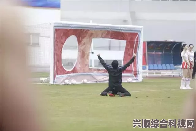 羊了个羊5月26日攻略详解，轻松过关秘籍