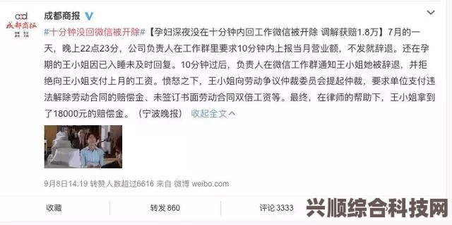 木卫四协议DLC内容详解，探索未知世界的额外篇章