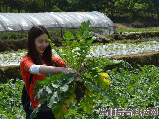 无期迷途，安氤氲夜话的深度解析与立绘探讨