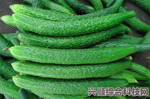 崩坏星穹铁道，位面分裂活动的开启与详解