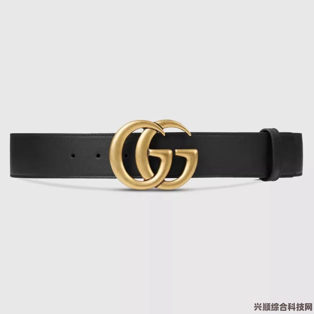 女装山脉游戏平台介绍及其在Steam平台上的推出情况
