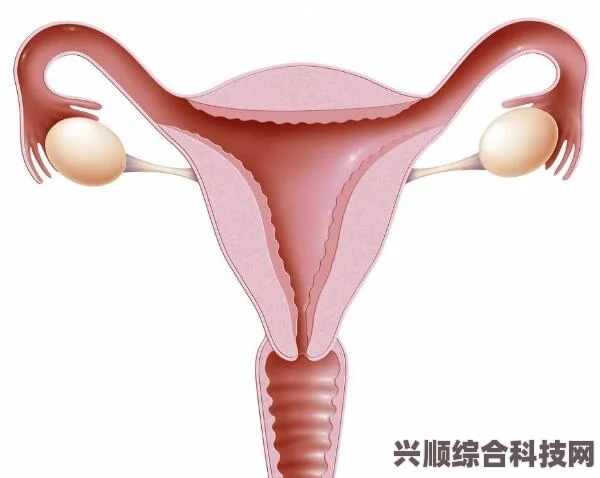 先天性无子宫想要孩子该怎么办？究竟该如何追求育儿梦？探索多种途径实现家庭梦想与幸福生活