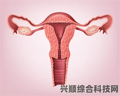 先天性无子宫想要孩子该怎么办？究竟该如何追求育儿梦？探索多种途径实现家庭梦想与幸福生活