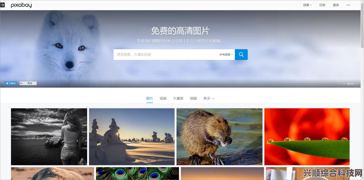 如何在线免费观看并下载《成全》完整版？高清资源哪里找？教你获取最新影视资源的技巧与方法