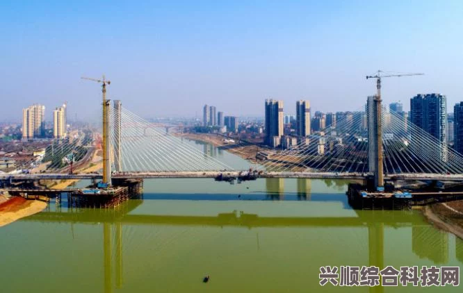 如何通过免费阅读了解年轻的岳阳：探索这座城市的文化魅力与未来发展，揭示历史与现代交融的独特风貌