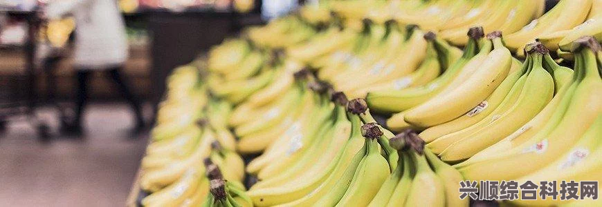 榴莲香蕉苹果哈密瓜水蜜桃：五种水果各具营养优势，助力健康生活，探索它们的独特功效与搭配方式