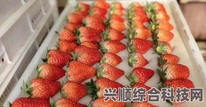 深度解析“啊灬啊灬啊灬快灬深草莓视频”：如何满足用户需求并推动短视频行业创新，探索新兴内容形式与互动体验的结合
