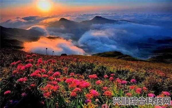 山村春情：感受自然与人文交织的春天美景，探寻乡村生活的诗意与宁静
