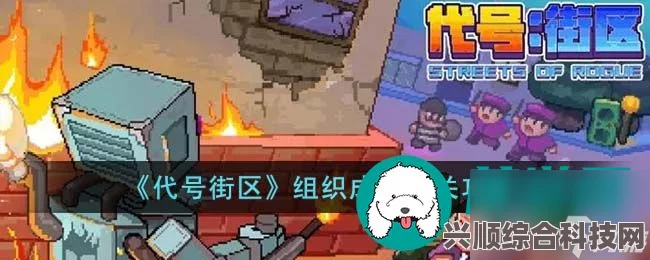 代号街区组织成员通关攻略详解