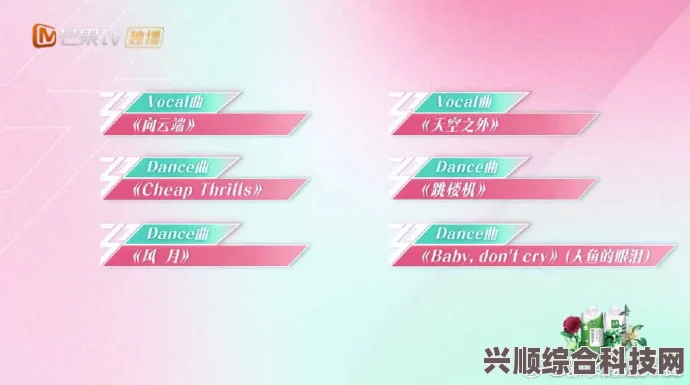 乘风三公歌单深度解析，选曲内容全景展示
