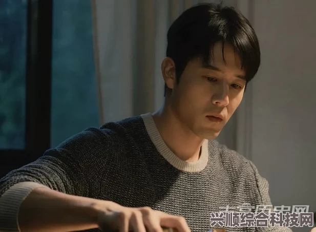 揭秘三分野电视剧，追剧日历与最新更新介绍