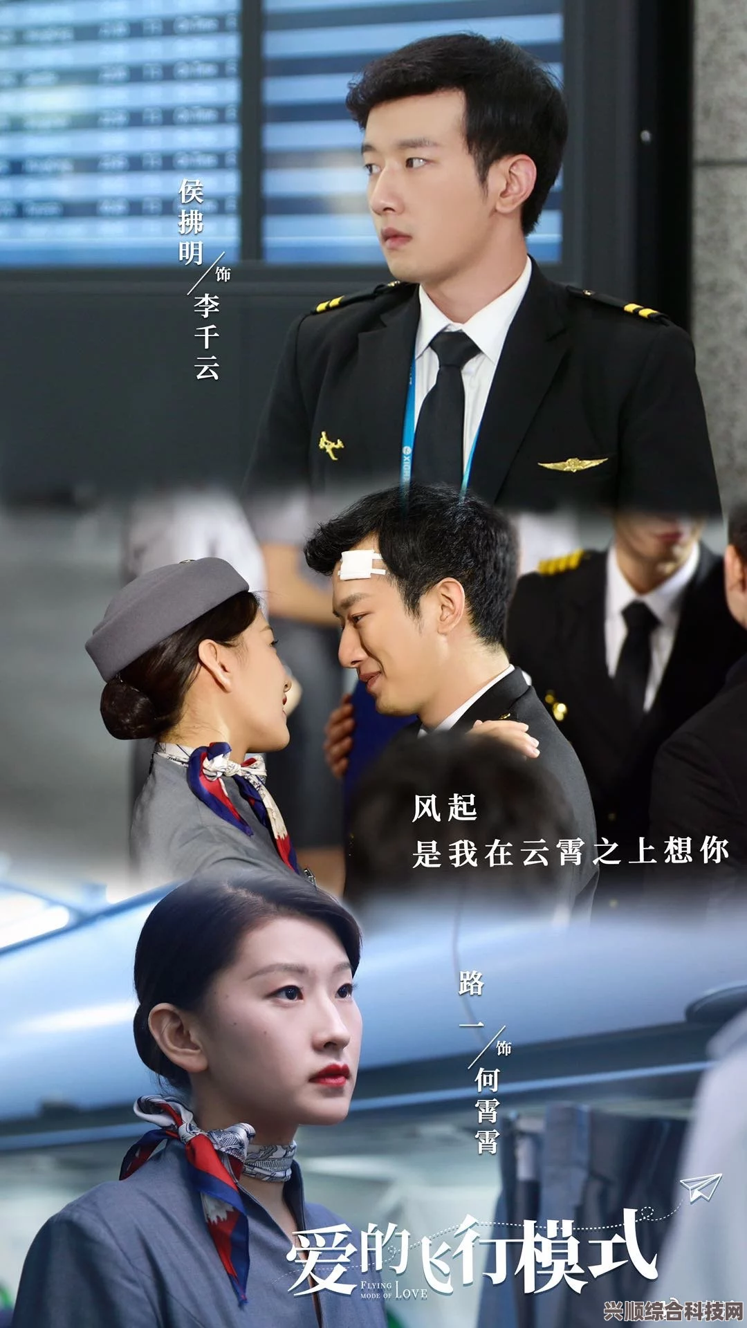 揭秘三分野电视剧，追剧日历与更新介绍