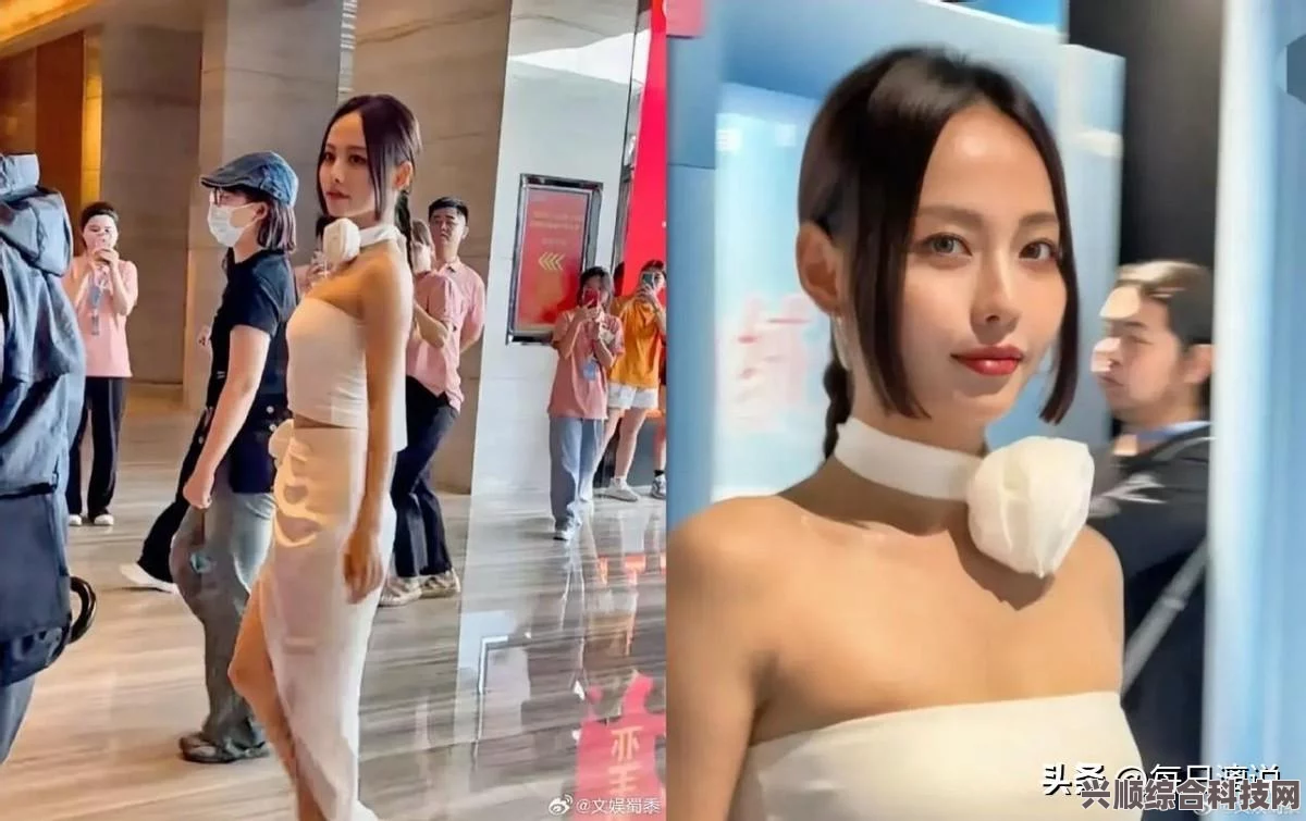 乘风二公结果揭晓，谁将成为未来的音乐之星？浪姐第四季二公结果一览