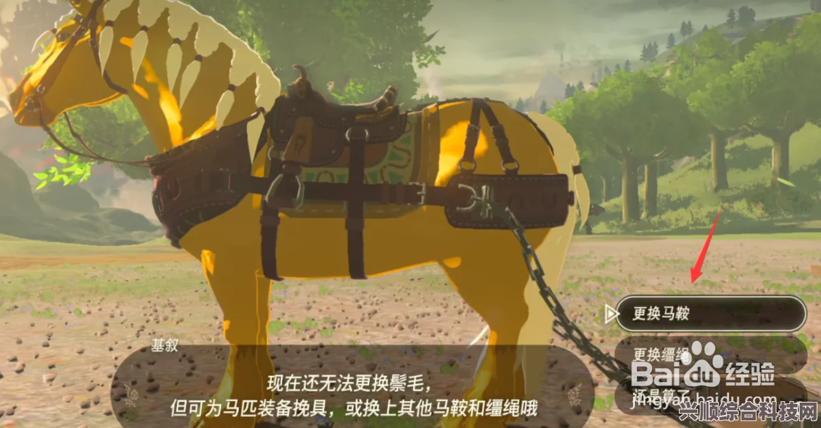 塞尔达传说，王国之泪牵引挽具用途深度解析