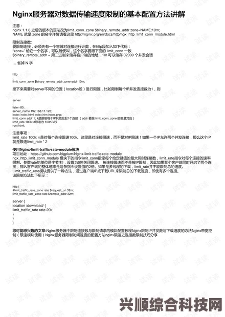 蓝色协议配置详解手册，从新手入门到高级配置精通