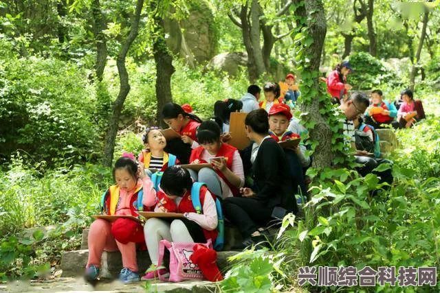 碧血营探索宗门攻略，逆水寒游戏中的宗门探索之旅
