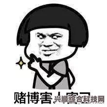 豪赌朋友圈，表情包引领的新世界探索