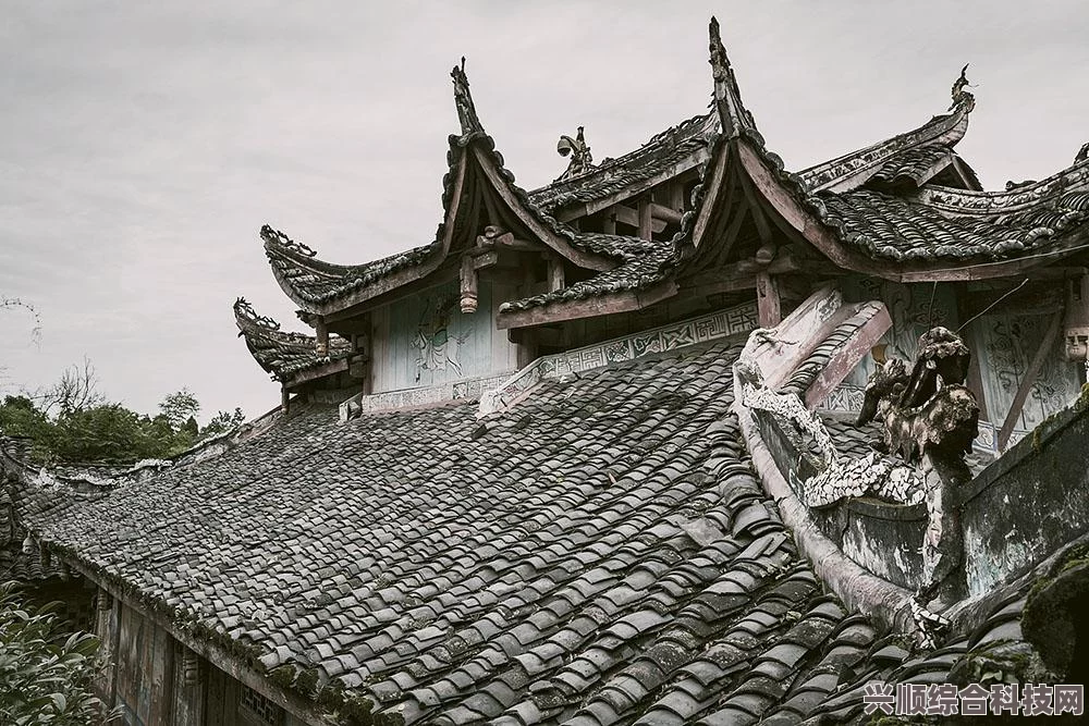 阴阳师SSR孔雀明王主题盛宴攻略，玩转孔雀明王活动的秘密宝典