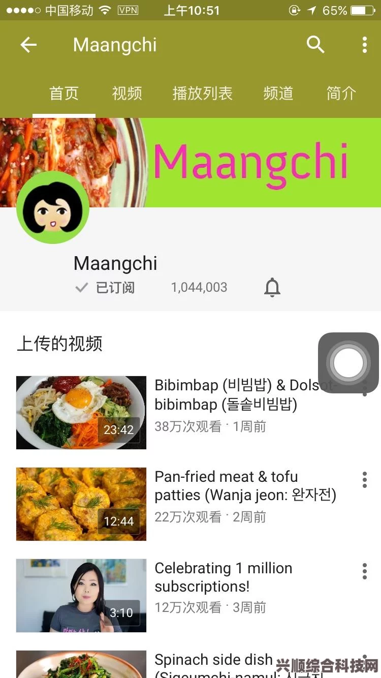 YouTube值得推荐的频道一览，探索各领域精彩内容
