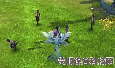 阴阳师契灵玩法入门到精通详解攻略