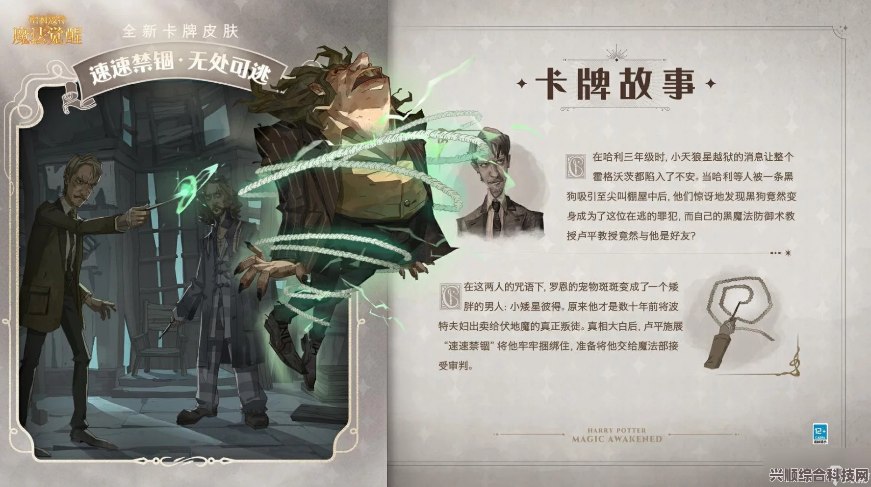 哈利波特魔法觉醒大更新深度揭秘，六月大改背后的故事与解析