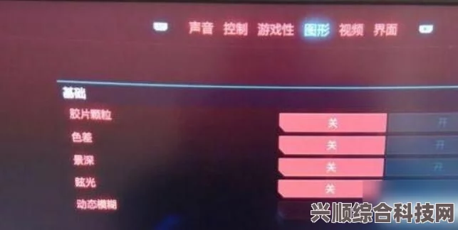 尘白禁区画面优化指南，解决模糊问题的方法与策略