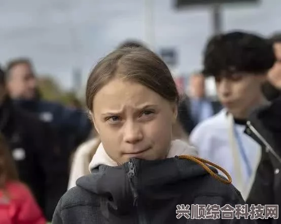 如何查看推特评论区，一步步解析推特评论区查看方法