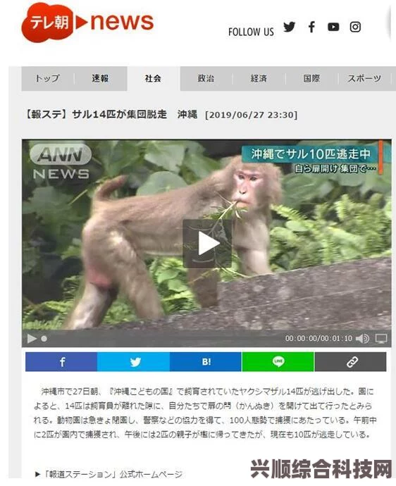 孤岛惊魂6动物园保安中心钥匙卡位置攻略，全面详解