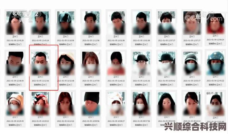 脸书人脸验证的安全性与实施策略探讨