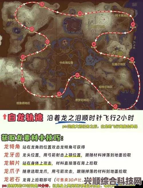塞尔达传说王国之泪刷龙攻略详解