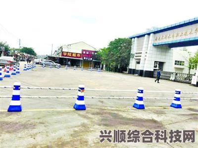 僵尸街区2汉化补丁下载地址分享及常见问题解答