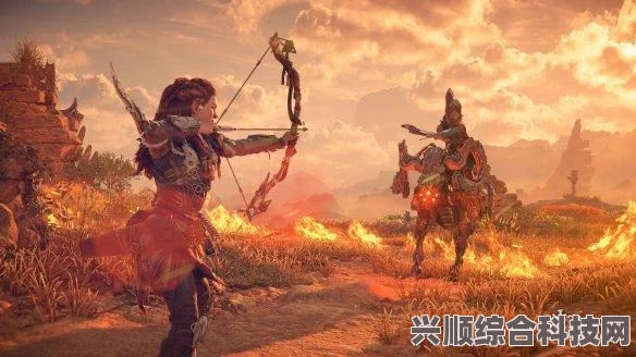 精灵宝可梦地平线第8集观看指南与互动问答环节揭秘