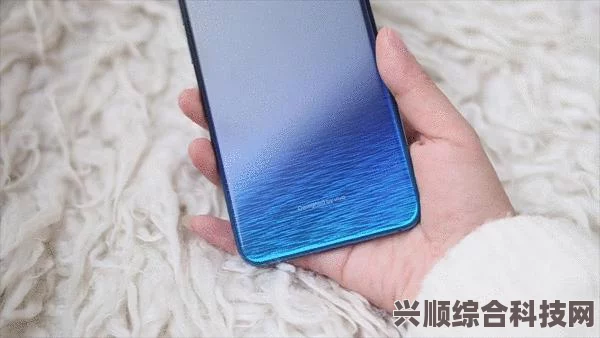 光遇海洋节物品价格详解，多少钱才能拥有这些精美物品？