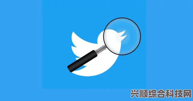 详解推特搜索用户技巧，轻松定位你需要的用户信息