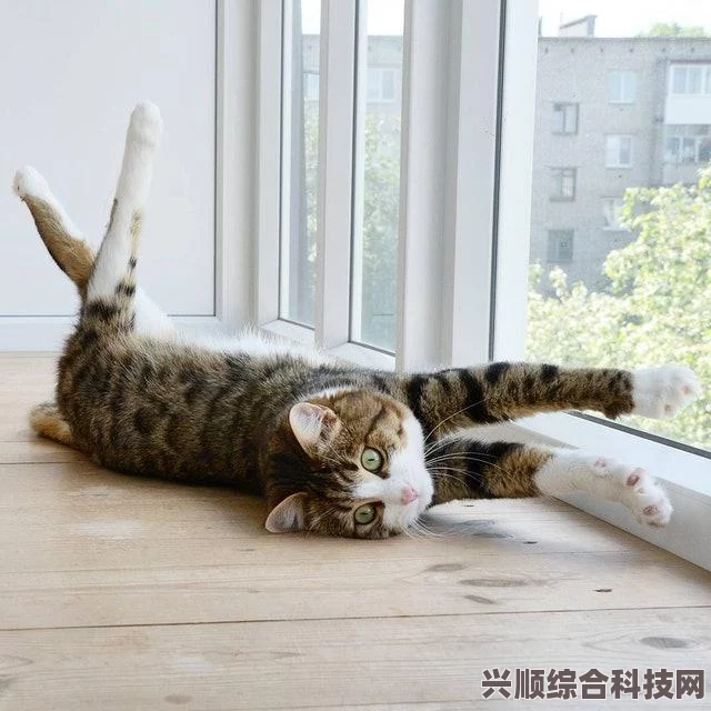 Instagram如何隐藏关注的人，详细步骤指南