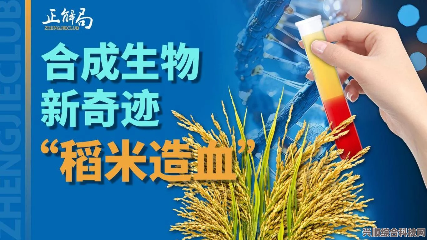 重返未来1999，红弩箭洞悉材料与突破全攻略揭秘