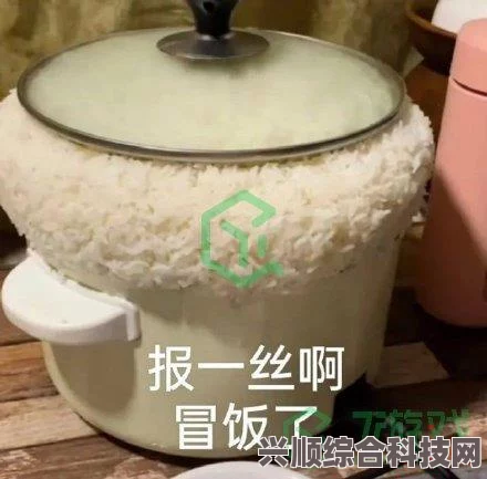 揭秘报一丝网络用语背后的含义与起源探索