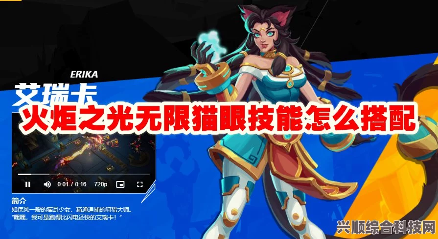 火炬之光无限，猫女BD攻略与猫眼艾瑞卡推荐搭配指南