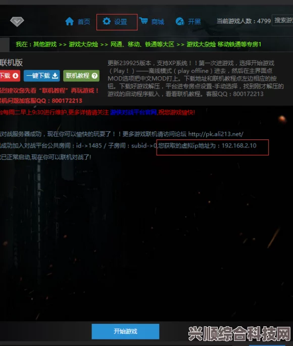 游侠对战平台参数设置详解，如何调整附加参数与应用指南