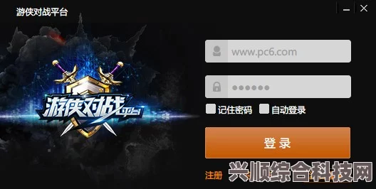 游侠对战平台附加参数详解，如何设置与运用？
