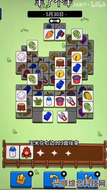 羊了个羊5月30日通关攻略详解，最新攻略分享