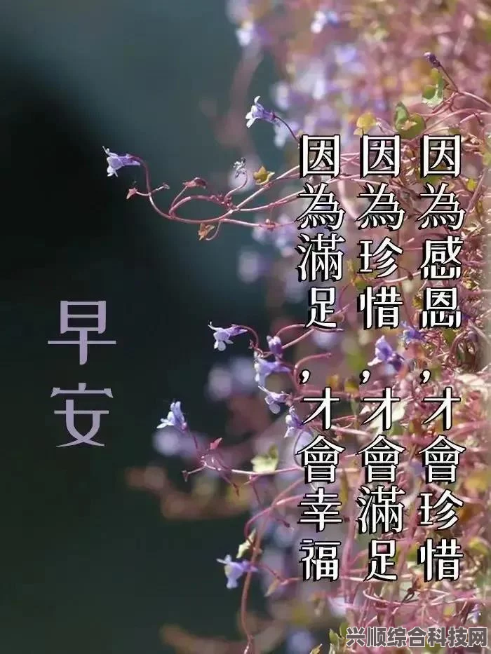 明日之后职业认证选择指南 2023，哪个职业认证更好？推荐哪些职业认证？