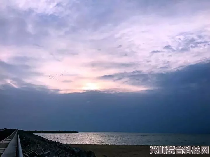 地平线5静谧海滩攻略，位置详解与常见问题解答