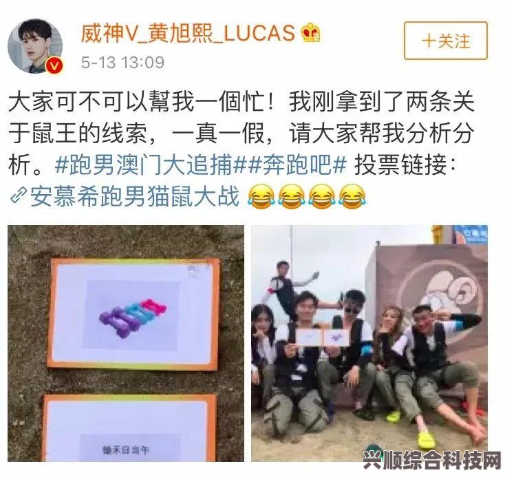 XAPK安装器下载全城追捕的方法