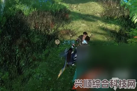逆水寒手游悲喜神功奇遇攻略详解