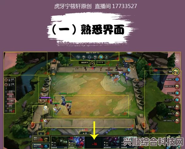 云顶之弈道具系统更新解析，赛季末调整亮点及商品系统调整与限时活动概览