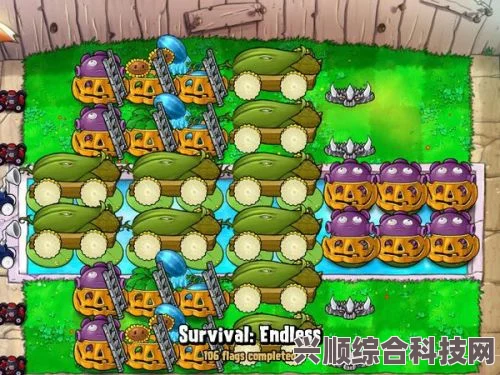 植物大战僵尸游戏内梯子攻略全解析