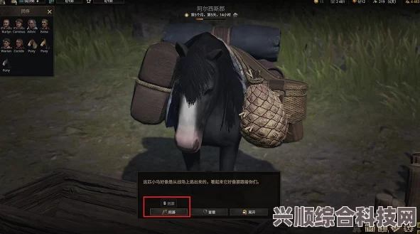战争传说马匹特质刷取攻略，技巧与策略解析