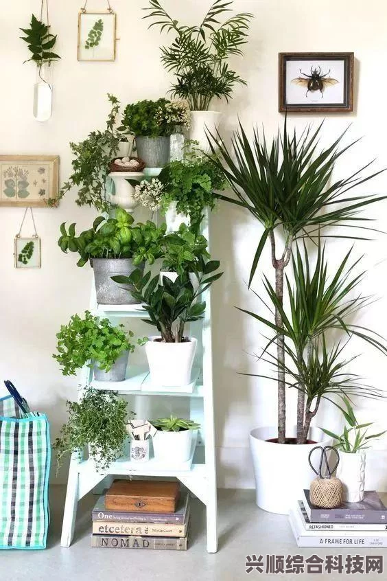 植物大战僵尸，搭梯子战术深度解析与指南