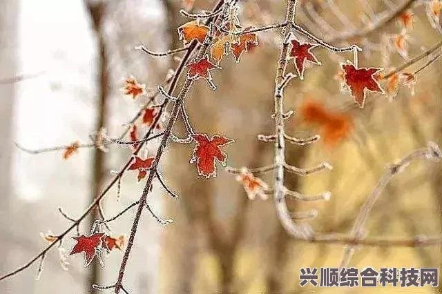 腾讯视频三部剧集闪耀荧屏，公诉照亮你等佳作悉数登场